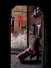 DSCN6095.jpg