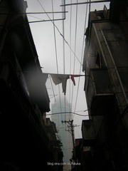 DSCN2768.jpg