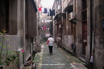 DSCN7065.jpg