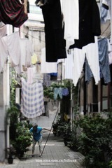 DSCN9164.jpg