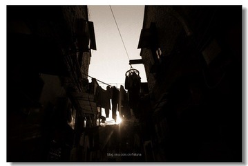 IMG_3153.jpg