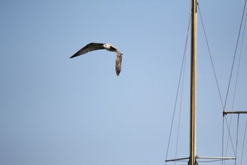 IMG_0907.jpg