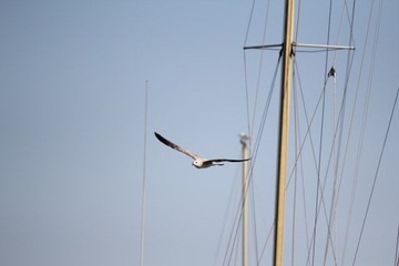 IMG_0952.jpg