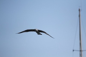 IMG_0976.jpg