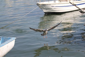 IMG_1013.jpg