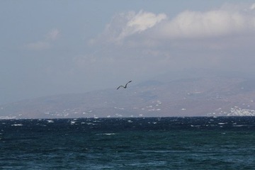 IMG_1274.jpg