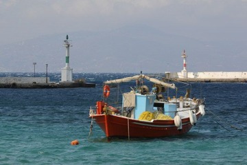 IMG_1359.jpg