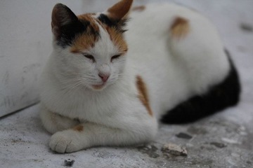 IMG_1464.jpg