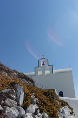 L1002494.jpg
