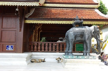 L1003452.JPG