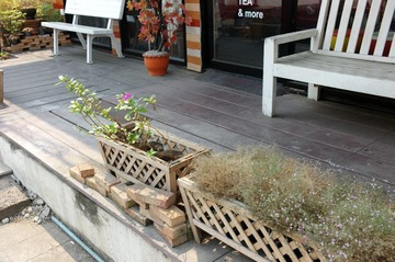 L1003277.JPG