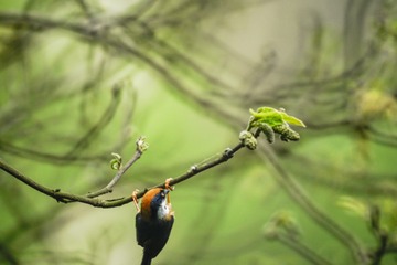 _dsc3328044