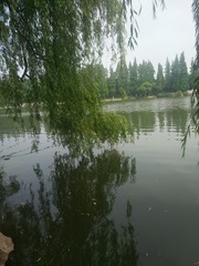 1717335