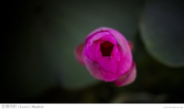 _DSC9029