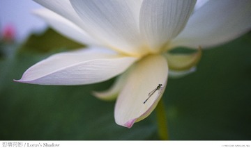 _DSC9070-2