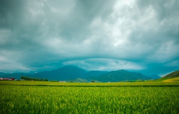 IMG_6731-编辑