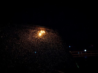 IMG_7226-编辑