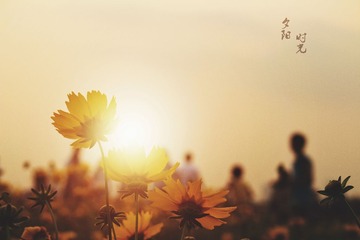 2C5D03DA-9621-47A7-A704-EEB38FB40DEC