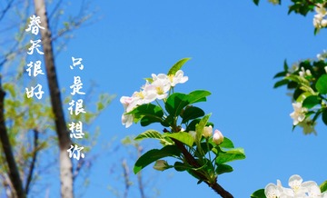 BAC46799-2883-4202-963A-4C481510338D/L0/001