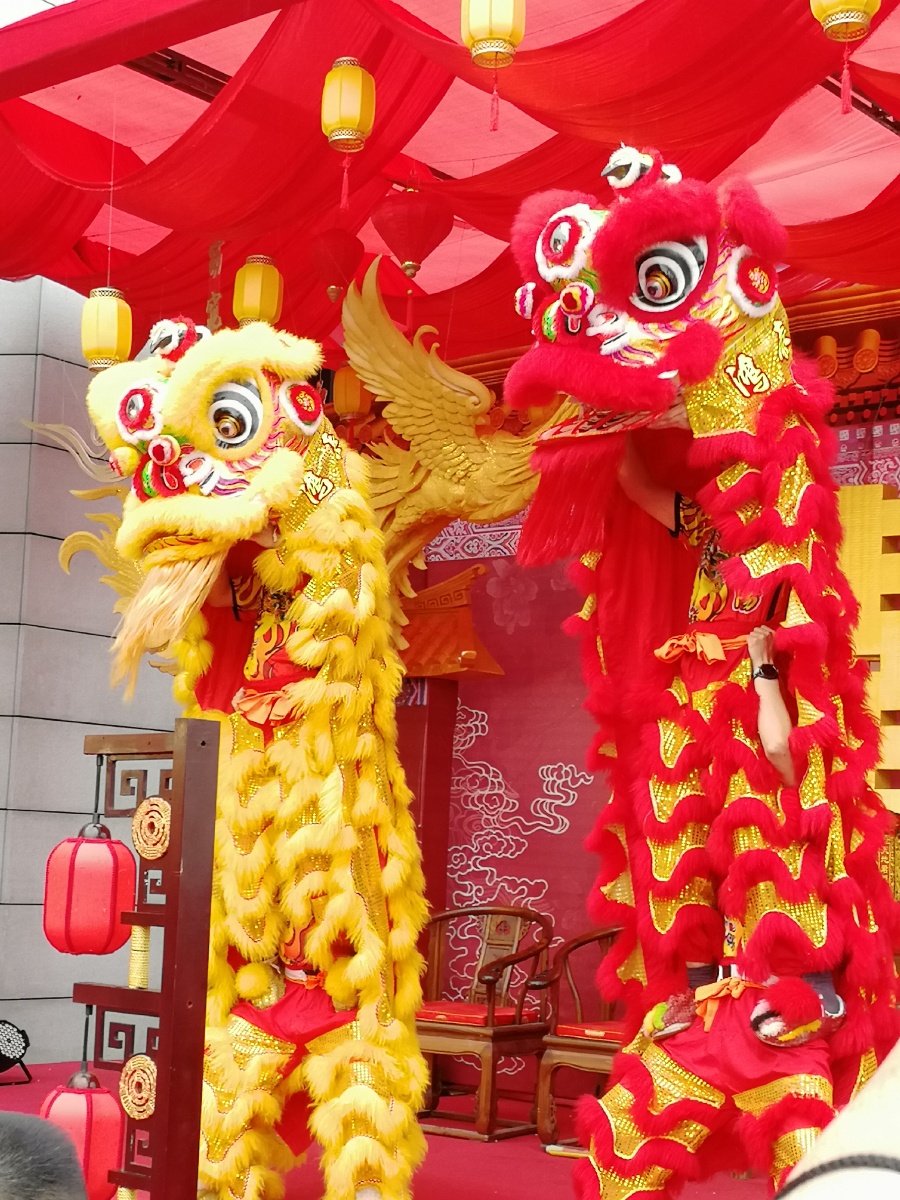 醒狮送福婚礼舞狮表演