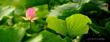 dhy_3258_001_发布