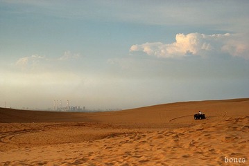DSC_1165.jpg