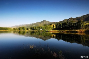 DSC_2033.jpg