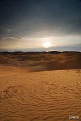 DSC_12131.jpg