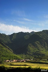 DSC_20231.jpg