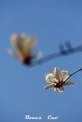 DSC_0676.jpg