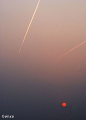 DSC_0041.jpg