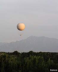 DSC_2419.jpg