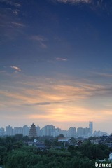 DSC_2437.jpg