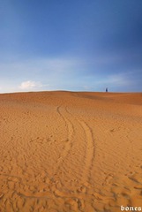DSC_1190.jpg