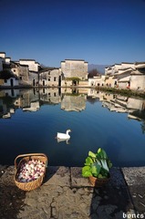 曹植奇+和谐的宏村.jpg