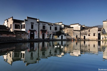 DSC_0070.jpg