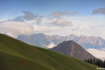 DSC_3572.jpg
