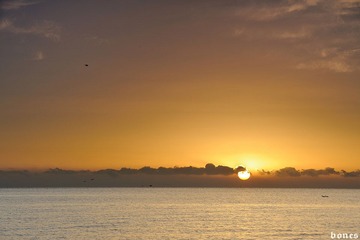 DSC_3874.jpg