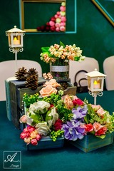 DSC01332-52