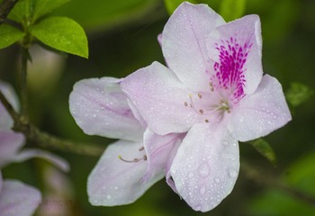 _IGP9557