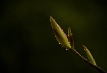 _IGP9740