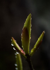 _IGP9742