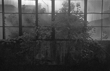 Untitled-1.jpg