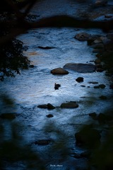 DSC_7282sfm八濑川