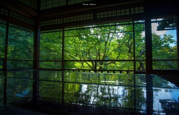 DSC_7193_tsfm琉璃光院