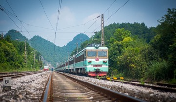356426
