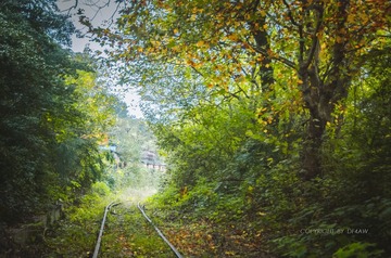 459854