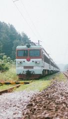 1267503