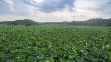 DJI_0027