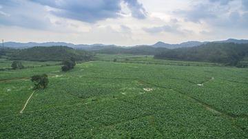DJI_0033